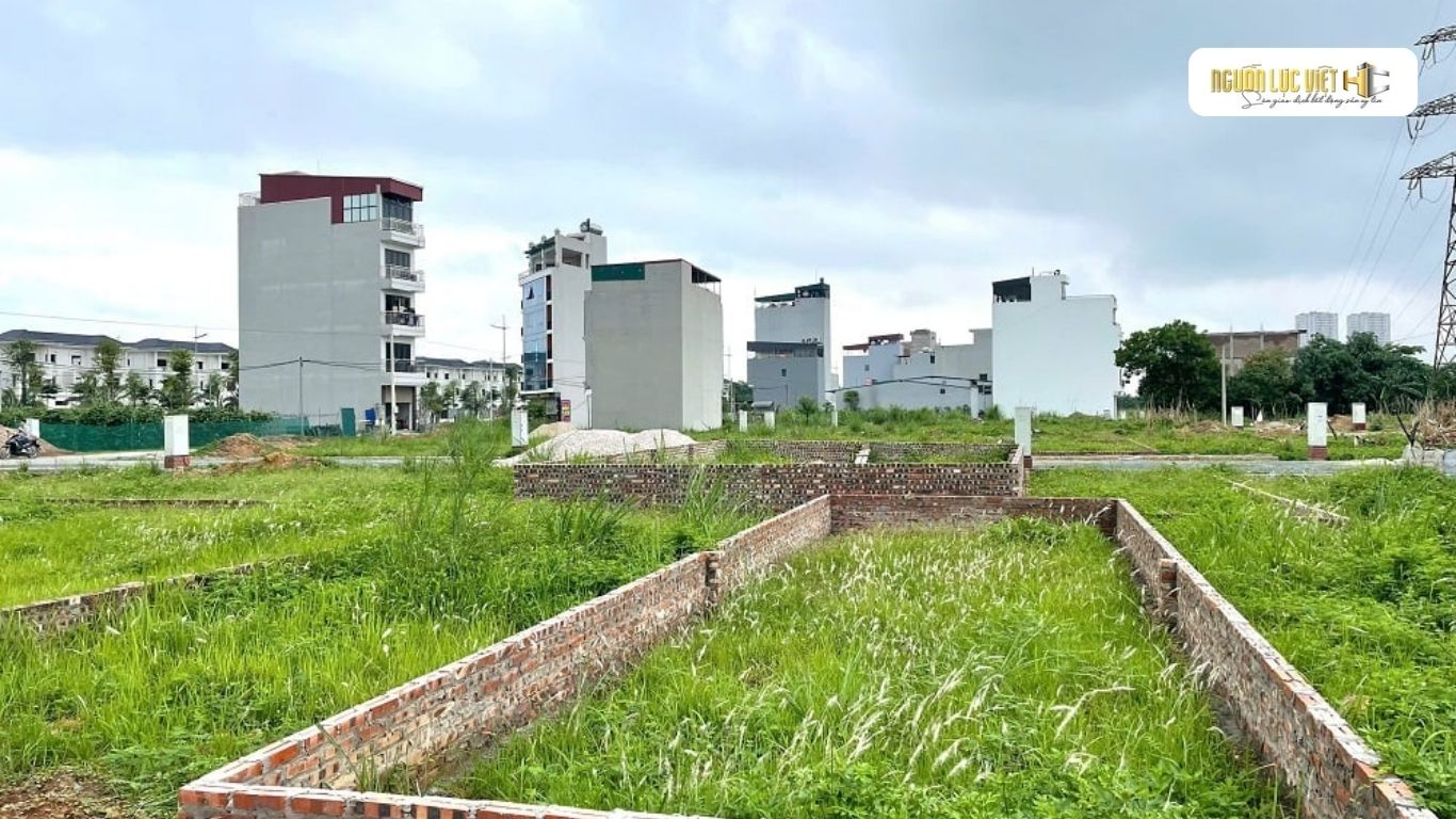 5-luu-y-vang-khi-di-xem-dat-dau-nam-2026